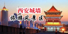 黑人大鸡巴狠插小穴视频中国陕西-西安城墙旅游风景区
